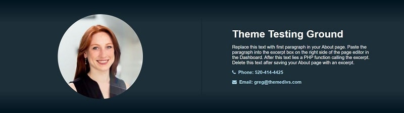 WordPress front-page.php, bio section theme div, theme divs